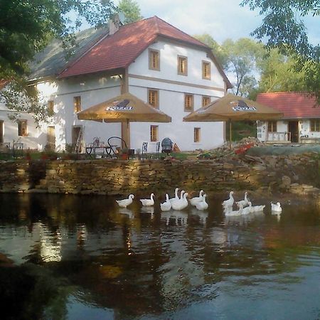 Вилла Biofarma Dolejsi Mlyn Kamberk Экстерьер фото