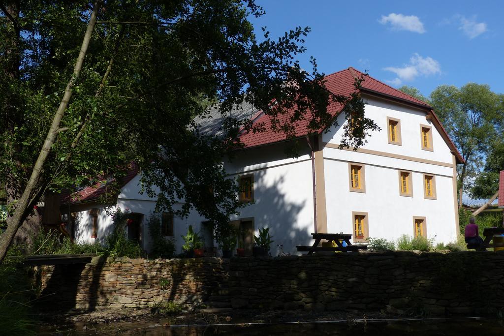 Вилла Biofarma Dolejsi Mlyn Kamberk Экстерьер фото