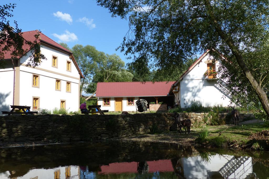 Вилла Biofarma Dolejsi Mlyn Kamberk Экстерьер фото