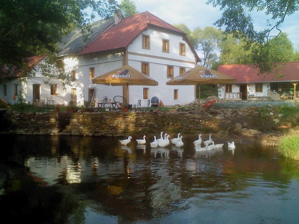 Вилла Biofarma Dolejsi Mlyn Kamberk Экстерьер фото